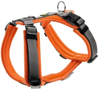 Hundegeschirr Maldon Größe: XS, orange/grau