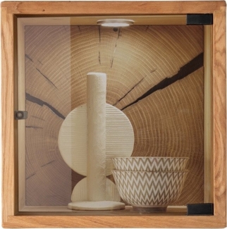 Wandregal mit Glastür 34x34cm 'Danzig II' Wildeiche massiv