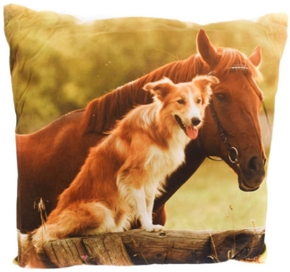Dekokissen 45 x 45 cm Couchkissen mit Tiermotiv & weißer Rückseite Foto- Kissen Pferd / Hund