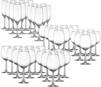 Ritzenhoff & Breker Vio 4Gastro Wein- / Sektgläser-Set 54-teilig - DS
