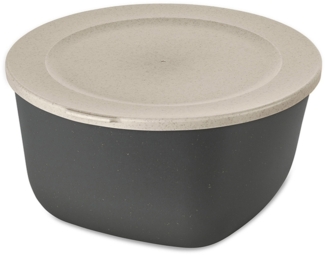 Koziol Dose Connect Box mit Deckel, Schüssel, Schale, Kunststoff-Holz-Mix, Nature Ash Grey, 4 L, 7872701