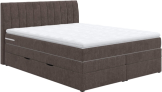 COTTA Boxspringbett Shark inkl. Bettkasten und Topper, erhältlich in den Breiten 140x200 cm, 160x200 cm und 180x200 cm