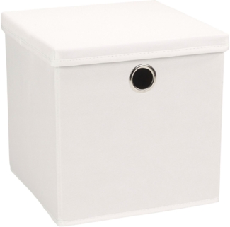 ECHTWERK Aufbewahrungsbox Aufbewahrungskiste mit Deckel und Metallöse (1 St), Faltbar/Klappbar/Praktisch