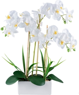 Kunstorchidee Orchidee Phalaenopsis, Creativ green, Höhe 58 cm, mit Graszweigen arrangiert