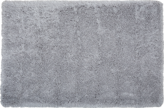 Teppich hellgrau 200x300 cm Shaggy CIDE