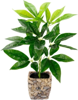 Kunstpflanze Schefflera, I.GE.A, Höhe 48 cm, Mit Übertopf Künstliche Seidenblumen