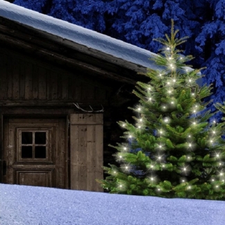 FHS Baumvorhang 160 LED 8 Stränge je 20 LED, Strang 2,0 m, IP44, mit Timer