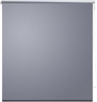 Verdunklungsrollo Verdunkelungsrollo 40x100cm Grau 240738