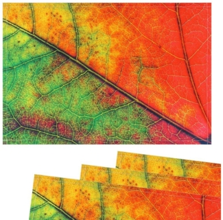 matches21 HOME & HOBBY Platzset Tischsets Platzsets Stoff CLOTH Herbstblatt Blattadern 4er, (4-St)