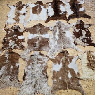 Provellus Fellteppich Ziegenfell Naturfarben Unikat Fellteppich 80-100cm, 80cm-100cm lang 2. Wahl