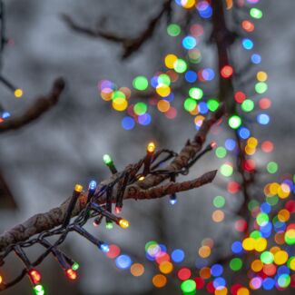 LED-Lichterkette "Flashy", 1500 bunte LED