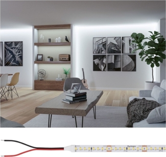 Paulmann 76024 Pro LED Strip Silver P150 865 6500K 24V 5m