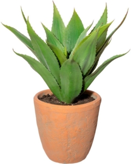 Künstliche Zimmerpflanze Agave im Terracottatopf Sukkulente, Creativ green, Höhe 40 cm