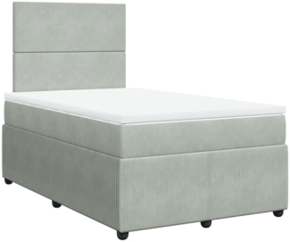 vidaXL Boxspringbett mit Matratze Hellgrau 120x190 cm Samt 3292280