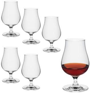 Rona2serve Single Malt Whisky Glas 200ml edle Whisky Gläser im 6er Set