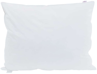 vidaXL Kopfkissen mit Kissen 2 pcs Weiß 40 x 60 cm Feder 42007684