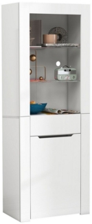 HAUSS SPOLE Vitrine Vitrine Bücherschrank Aktenschrank Standvitrine (Aktenschrank Standvitrine Aufbewahrungsschrank, mit Regalen Vitrinenschrank Küchenschrank Bücherschrank) für Küche Wohnzimmer Büro Esszimmer Grau