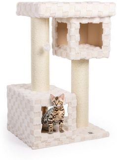 Canadian Cat Company Kratzbaum Clifton, 107cm hoch Katzenbaum große Katzen stabil, entnehmbare Kuschelkissen