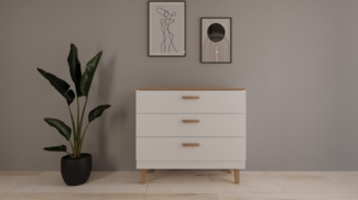Bjird Kommode Sideboard 100 x 90 x 47 cm – Anrichte skandinavisch modern mit Schubladen, 3 Schubladen Vollauszug Soft-Close, Massivholzgriffe, Wandbefestigung