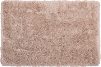 Teppich beige 200x300 cm Shaggy CIDE