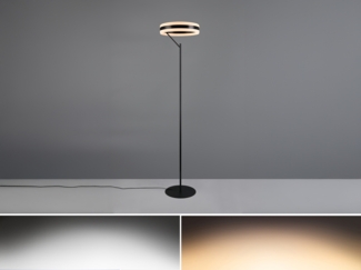 LED Stehlampe DIOS dimmbar, Lichttemperatur einstellbar, Schwarz, Höhe 180cm