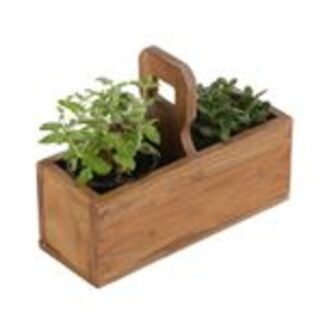 Pflanzenbox Viola