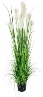 Kunstgras Pampasgras, I.GE.A, Höhe 180 cm, im Kunststofftopf