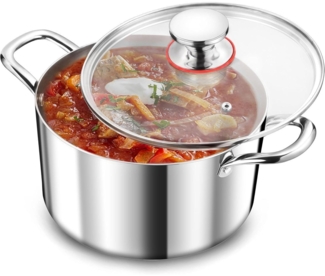 TEAMFAR 20cm Kochtopf 3-Lagen Edelstahl Hochglanzpoliert mit Glasdeckel