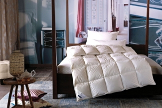 billerbeck Daunenbettdecke Ebby 50 Mono, Bettdecke in 135x200, 155x220, 200x200 cm, Sommer, Füllung: 50% Daunen, 50% Federn, Bezug: 100% Baumwolle, Die Daunendecke für das ganze Jahr