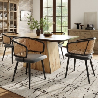 Flieks Esszimmerstuhl (Set, Eisengestell, 4 St), 4er Set Polsterstühle mit Armlehnen Rattanstuhl Samt Wohnzimmer