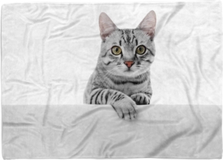 Sinus Art Handtücher Handtuch Strandhandtuch Saunatuch Kuscheldecke mit Tiermotiv süße Katze, Baumwolle-Polyester-Mix (1-St), Handtuch