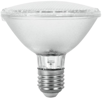 OMNILUX PAR-30 230V SMD 10W E-27 62 LEDs UV