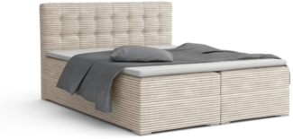 Deine Möbel 24 Boxspringbett CYNTHIA Boxbett Polsterbett Matratzen H3 oder H4 (Set, 3-St, Cord Cord-Samt 140x200 160x200 180x200 200x200), inkl. Bettkasten Topper Matratzen H3 H4