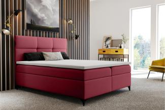 Stylefy Libretto Boxspringbett 200x200 cm Velours Dunkelrosa Schaum Topper 4 cm