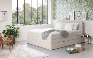 COTTA Boxspringbett Shark inkl. Bettkasten und Topper, erhältlich in den Breiten 140x200cm, 160x200cm und 180x200cm