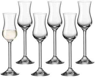 Leonardo DAILY Grappaglas 100ml 6er Set