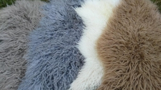 Provellus Fellteppich Island Schaffell Lockig Lammfell Weich Naturfarbig Unikat 110cm