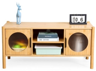 TV-Lowboard mit 2 Türen 10051488