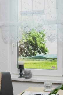 Stickereien Plauen Scheibengardine Annalena, Stangendurchzug (1 St), halbtransparent, Voile