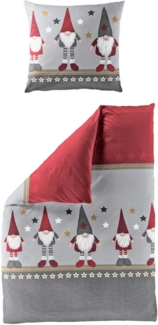 Bettwäsche Bierbaum Biber 4104-61 Wichtel Sterne grau rot 135x200