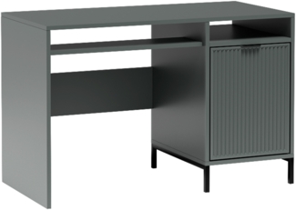 AX LIVING Stauraum Schreibtisch grün Berlinette 12 – 120x58 cm