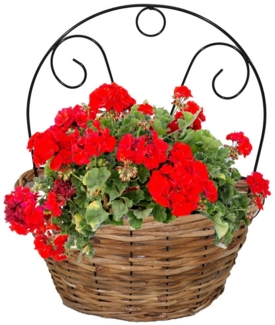 Annastore Weidenkorb Blumenampel zum Hängen - Pflanzkorb aus Weide - Weidenkorb, Pflanzgefäß für Wand