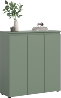 Universalschrank (B/H/T: 105x111x37 cm) in Smoke Green Nachbildung