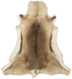 KUHFELL online & NOMAD Fellteppich Echtes Rentier Fell Dekofell Grau Beige Natur ca. 120 x 100 cm