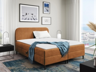 Boxspringbett Briheg 1 (Farbe: Coral 35, Größe: 160x200)