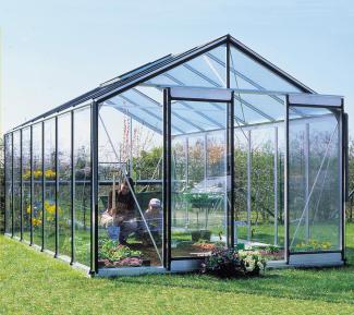 ACD Glas Gewächshaus R308H-B | Silber | 593x306x259 cm