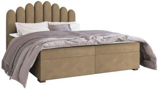 Mirjan24 	Boxspringbett Tosian, Beige, 140 x 200 cm