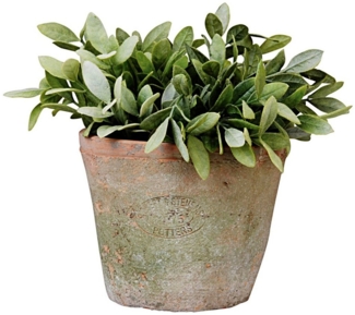 Terracotta Blumentopf im Landhausstil 12 cm Hoch