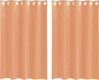 vidaXL Voile Vorhänge mit Ösen 2 Stk. Terrakotta 4102138