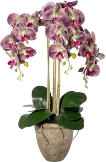Kunstorchidee Orchidee Phalaenopsis Orchidee, Creativ green, Höhe 75 cm, mit traumhaft schönen Blüten